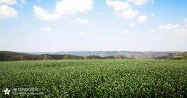 蘆家灣鄉 蘆家灣鄉