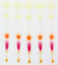 薄層色譜 薄層色譜