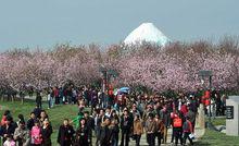 鳳凰湖[四川省成都市鳳凰湖]