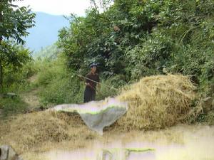 耍葉當自然村 耍葉當自然村