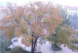 縈東溫泉花園 縈東溫泉花園