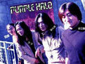 紫環樂團 紫環樂團
