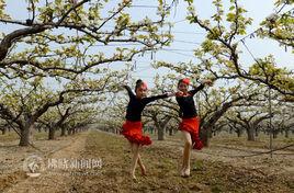 黃河故道生態文化節 黃河故道生態文化節