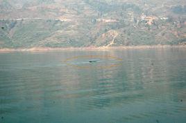 六盤水水怪 六盤水水怪