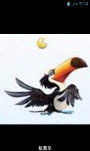 天天酷跑道具裝備大全 天天酷跑道具裝備大全