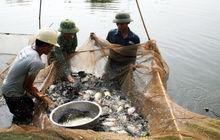 永福省[越南行政區域]