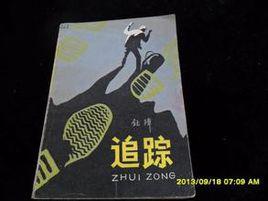 步法追蹤 步法追蹤