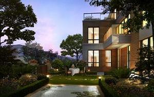 金基觀島 金基觀島