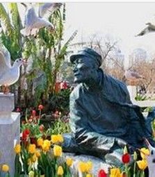 老人與海鷗 老人與海鷗