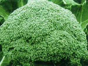 最有營養的蔬菜:花椰菜