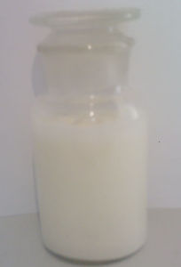 地芬尼多 地芬尼多