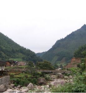 牛頭村[河北省武安市冶陶鎮下轄村]