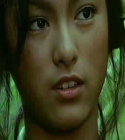 《蝶變》[1979年徐克執導電影]