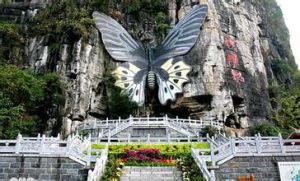 蝴蝶泉景區 蝴蝶泉景區