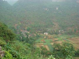 合心村[雲南省文山州西疇縣興街鎮下轄村]