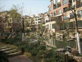 合肥金色池塘 合肥金色池塘