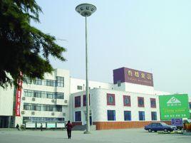 洛陽春都食品股份有限公司 洛陽春都食品股份有限公司