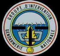 國家憲兵干預隊標誌