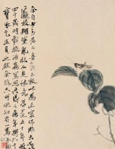 殘葉螞蚱 殘葉螞蚱