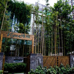 維根素食 維根素食