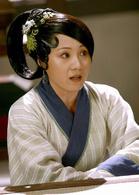 孔雀東南飛[中國2009年王文杰執導電視劇]