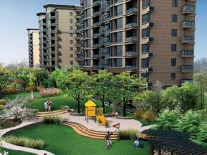 上海金領國際 上海金領國際