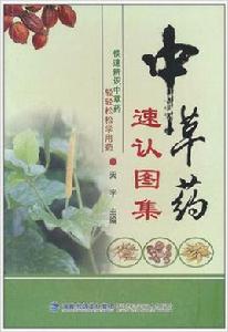 中草藥速認圖集 中草藥速認圖集