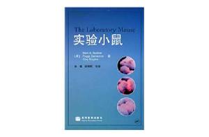 實驗小鼠