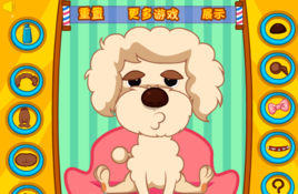 可愛的小泰迪 可愛的小泰迪