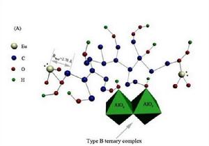 放射性核素分布 放射性核素分布
