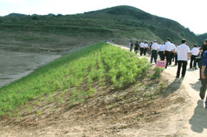 水土保持補償費 水土保持補償費