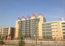 北京世紀金光半導體有限公司