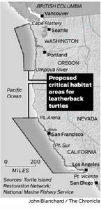 70600平方英里的美國海洋將被劃為棱皮龜的棲息地。