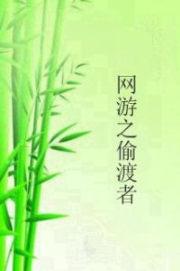 網遊之偷渡者 網遊之偷渡者