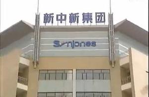 新中新集團 新中新集團