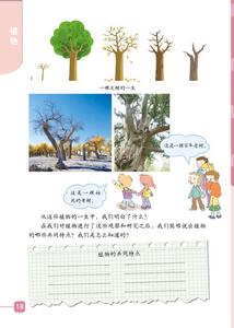 《植物有哪些相同特點》2