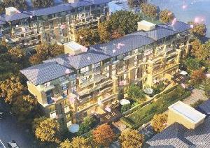 江戶雅致 江戶雅致