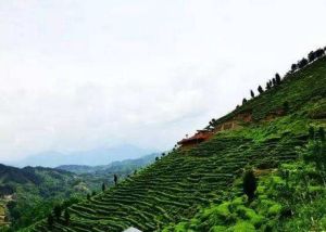 冉家營自然村 冉家營自然村