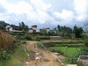 田基村自然村村內道路