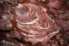 大連金石灘地質公園