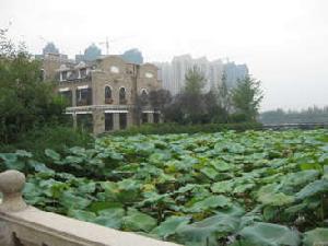 南湖國際社區六期 南湖國際社區六期