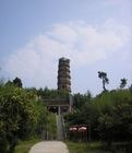 麻城柏子塔 麻城柏子塔