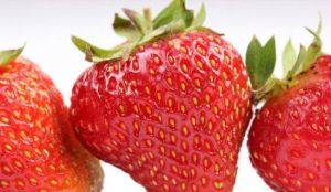 開心草莓園 開心草莓園