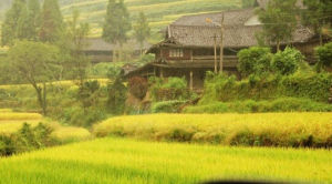 和坪溪鄉 和坪溪鄉