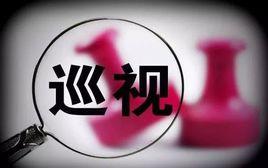 脫貧攻堅專項巡視 脫貧攻堅專項巡視