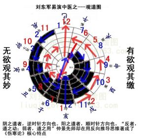 易演中醫觀道圖