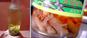 小老鼠酒 小老鼠酒