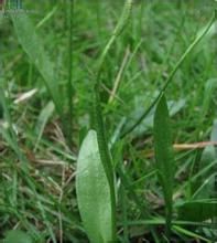 小一支箭[小一支箭]