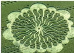 三維麥田怪圈 三維麥田怪圈