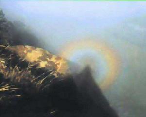 蒲公追鹿 蒲公追鹿